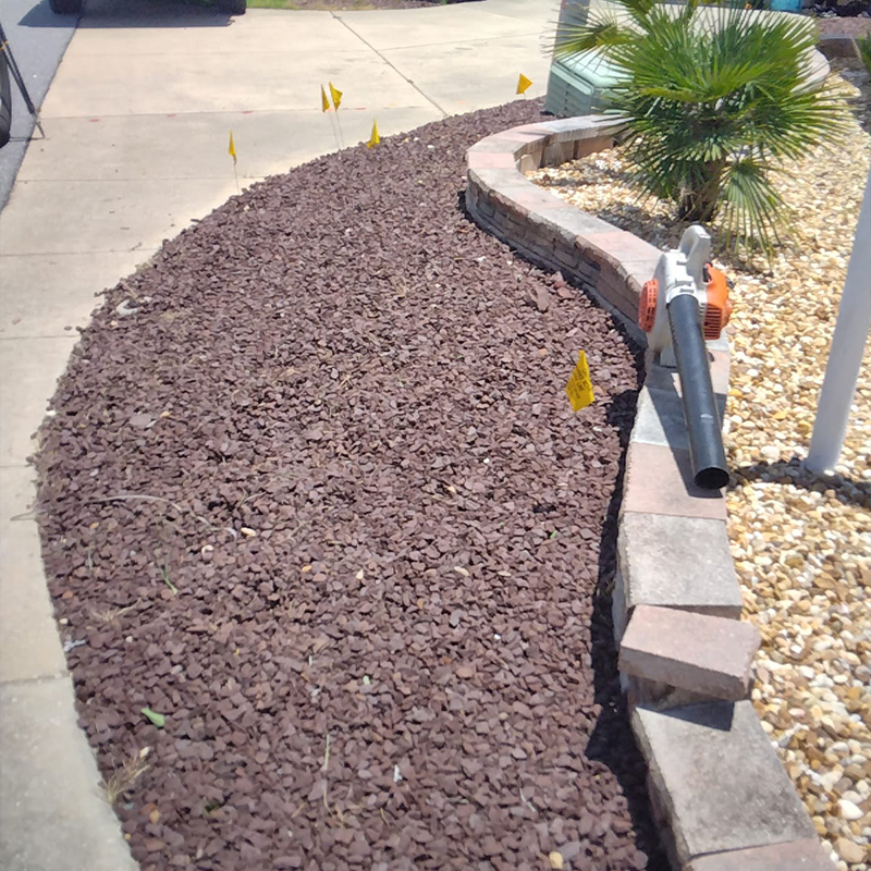 About Jesus Martinez Palm & Tree Service LLC