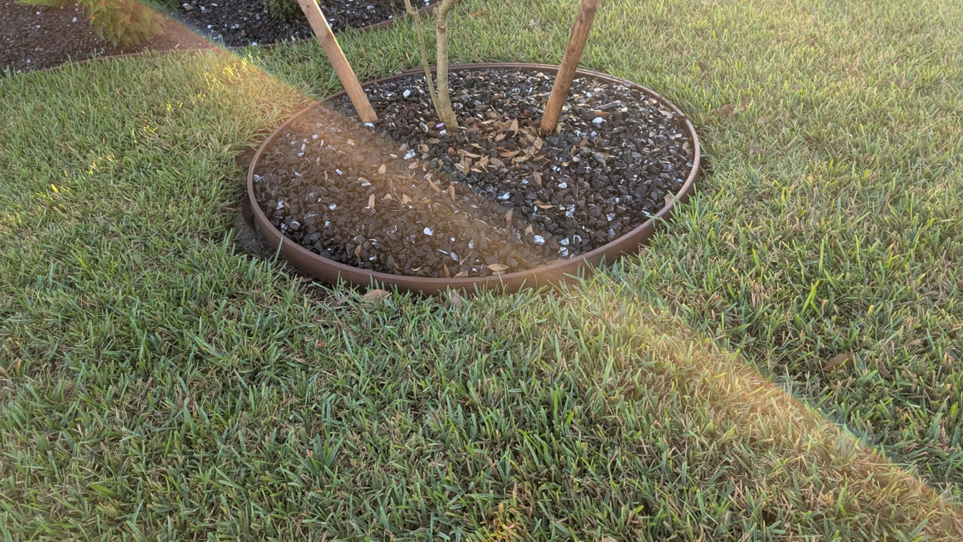 Welcome to Jesus Martinez Palm & Tree Service LLC