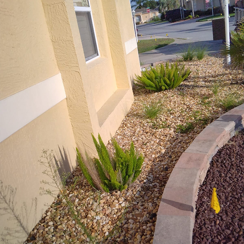 Landscaping and Tree Service Experts