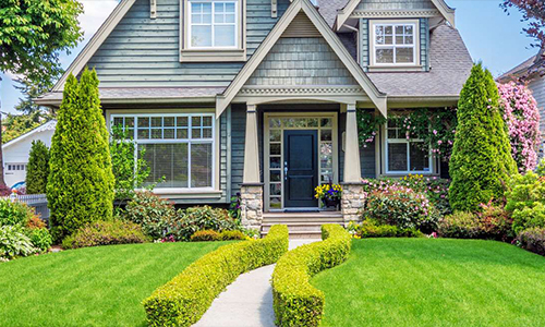 Tree Trimming Service