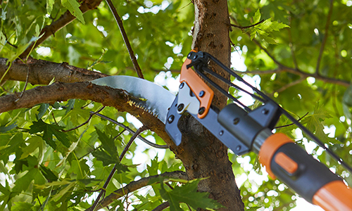 Hardscaping and Patios